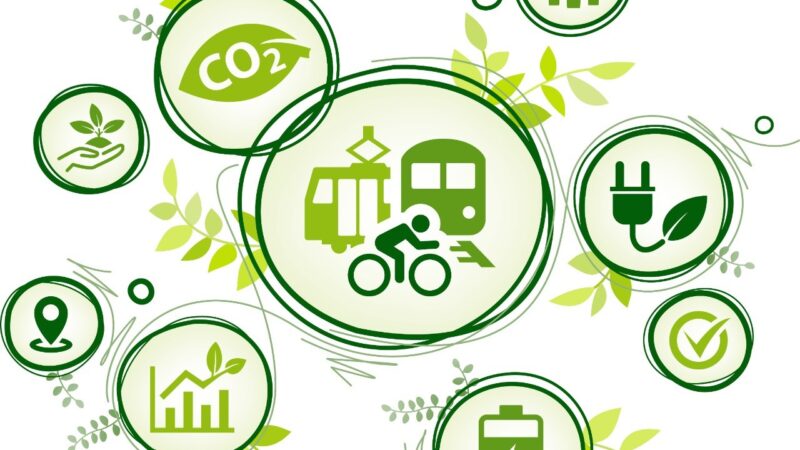 Caminhos da indústria automotiva para mobilidade sustentável de baixo carbono