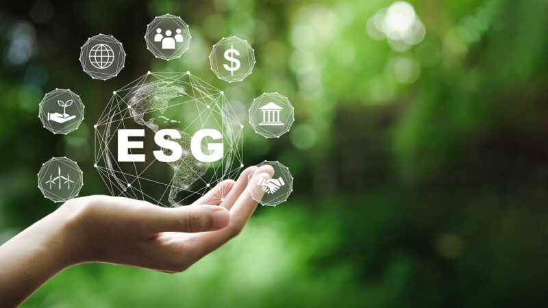 Ferramenta gratuita auxilia empresas a caminharem na jornada ESG