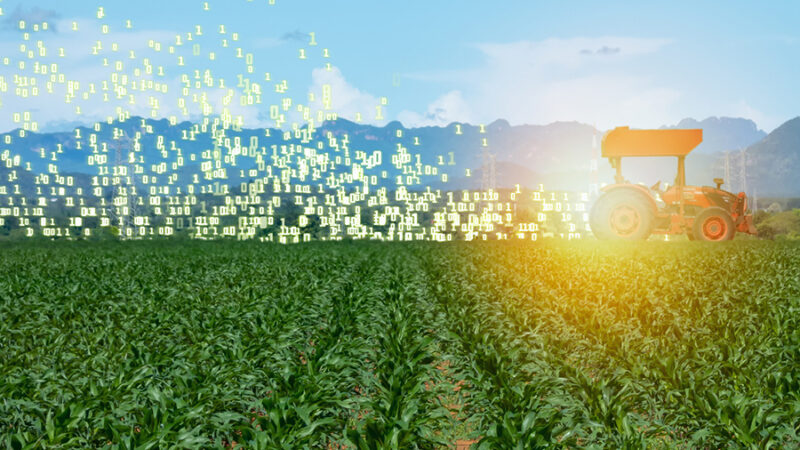 5G e IoT são tecnologias essenciais para o agro nos próximos anos