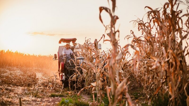 Yanmar cresce 70% nas vendas de equipamentos agrícolas
