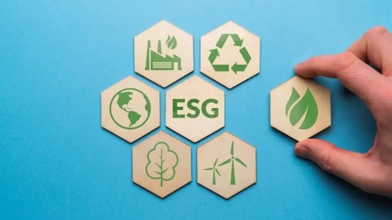 Saiba por que o tema ESG deve interessar aos pequenos negócios