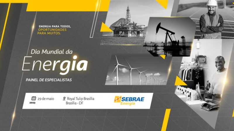 Sebrae lança programa de Transição Energética do Pequenos Negócios