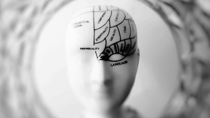 NR-1 em vigor: veja passos para empresas se adaptarem às novas regras de saúde mental sem correr riscos