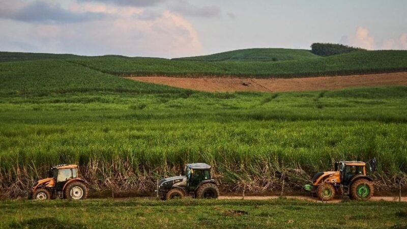 Valtra destaca maquinários eficientes para garantir rentabilidade na safra de cana-de-açúcar