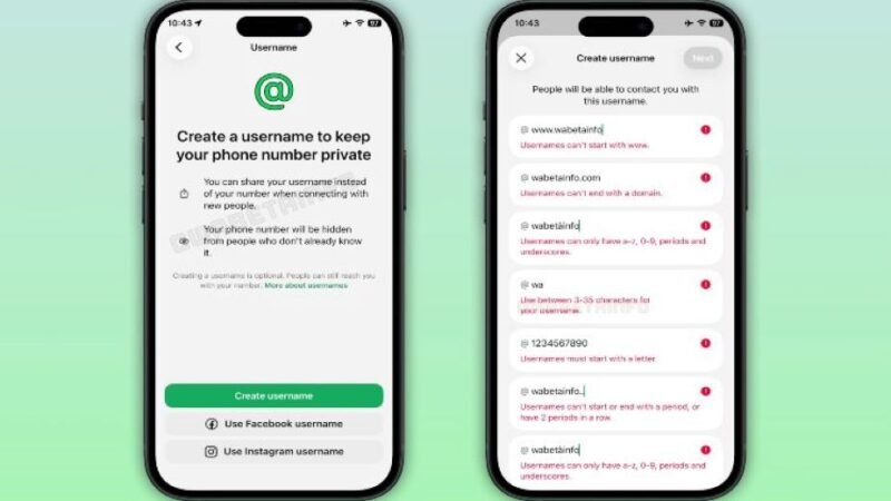Usernames no WhatsApp: 5 passos para sua empresa acompanhar a mudança