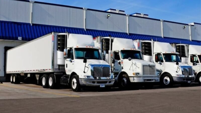 Nova geração de trailers refrigerados acelera transformação da cadeia do frio no Brasil