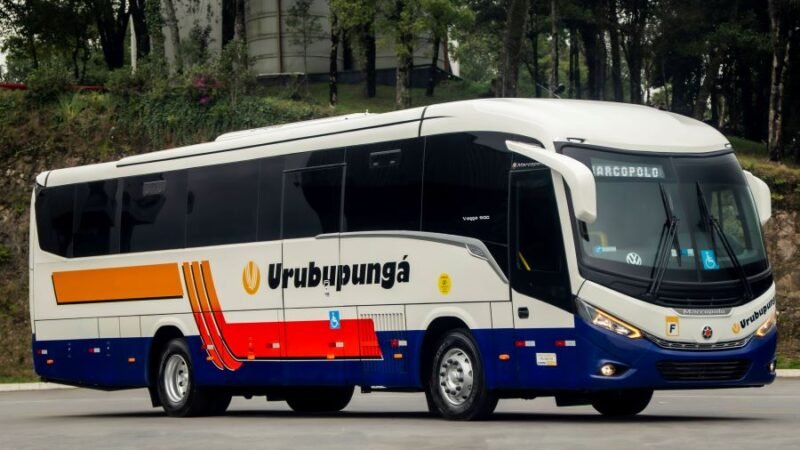 Novos ônibus Marcopolo renovam frotas da Urubupungá Turismo e da Viação Caieiras